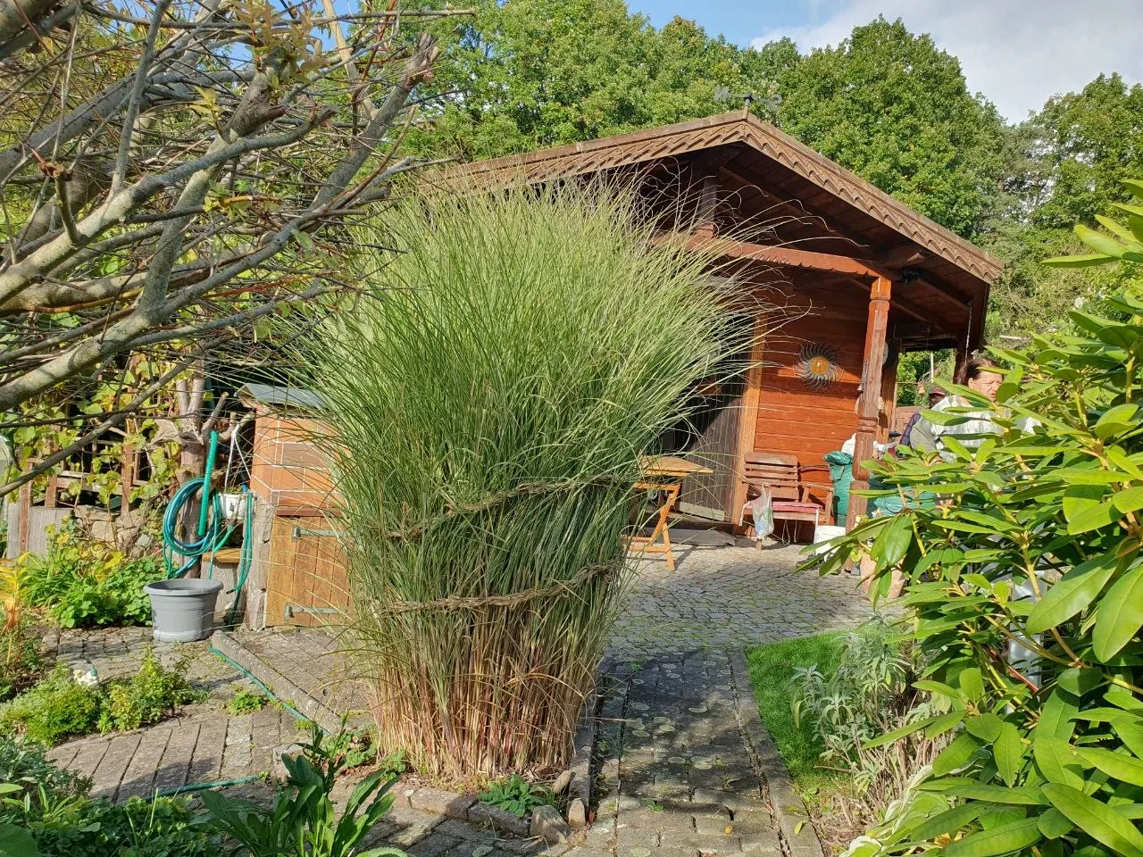 Zu einem Büschel gebundenes Gras auf dem Pflasterweg, dahinter die Gartenhütte mit Sonnenbild