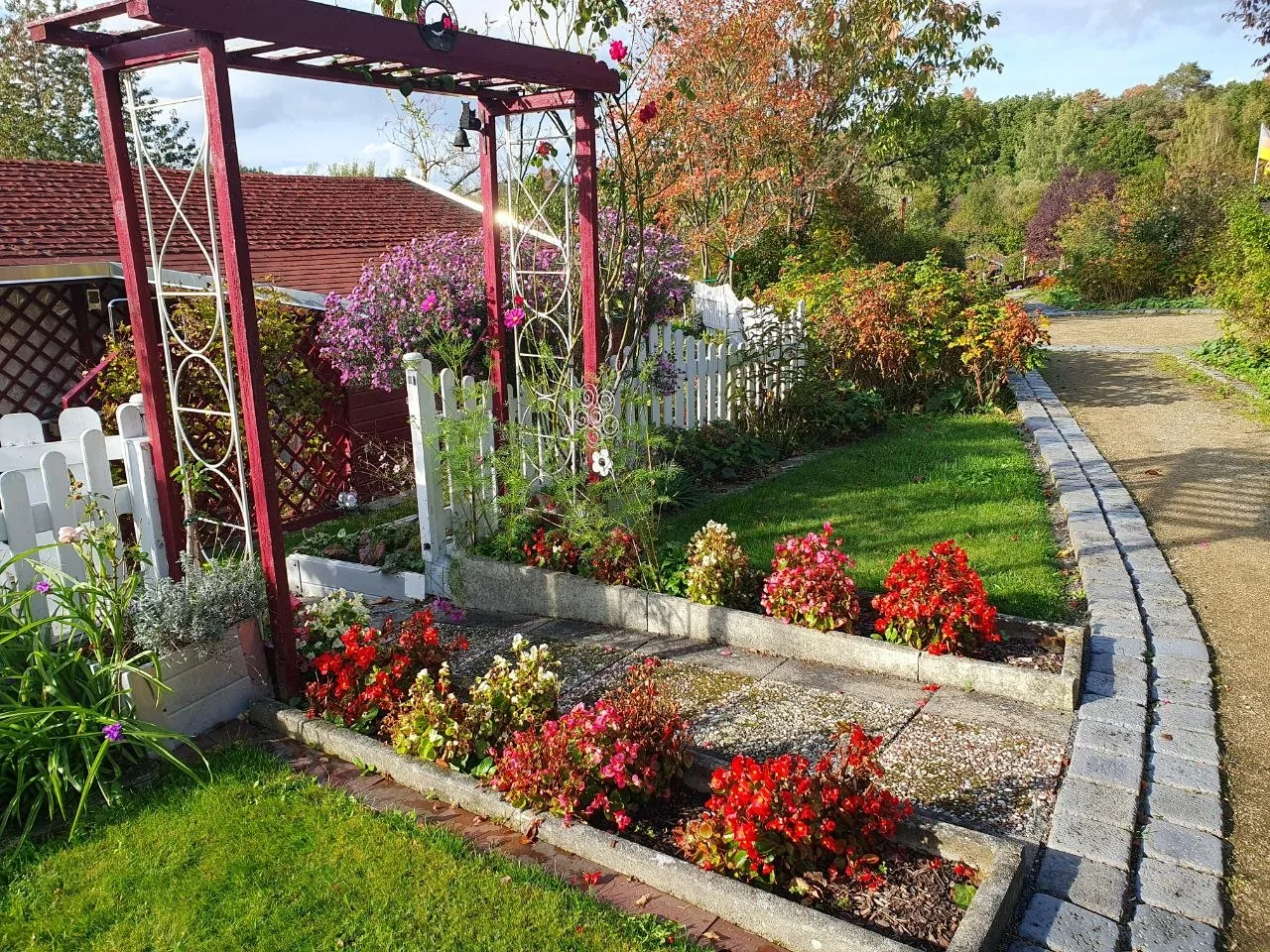 Blumenbeet an einer Pergola mit rankenden Pflanzen, dahinter ein rotes Gebäude und herbstfarbene Bäume