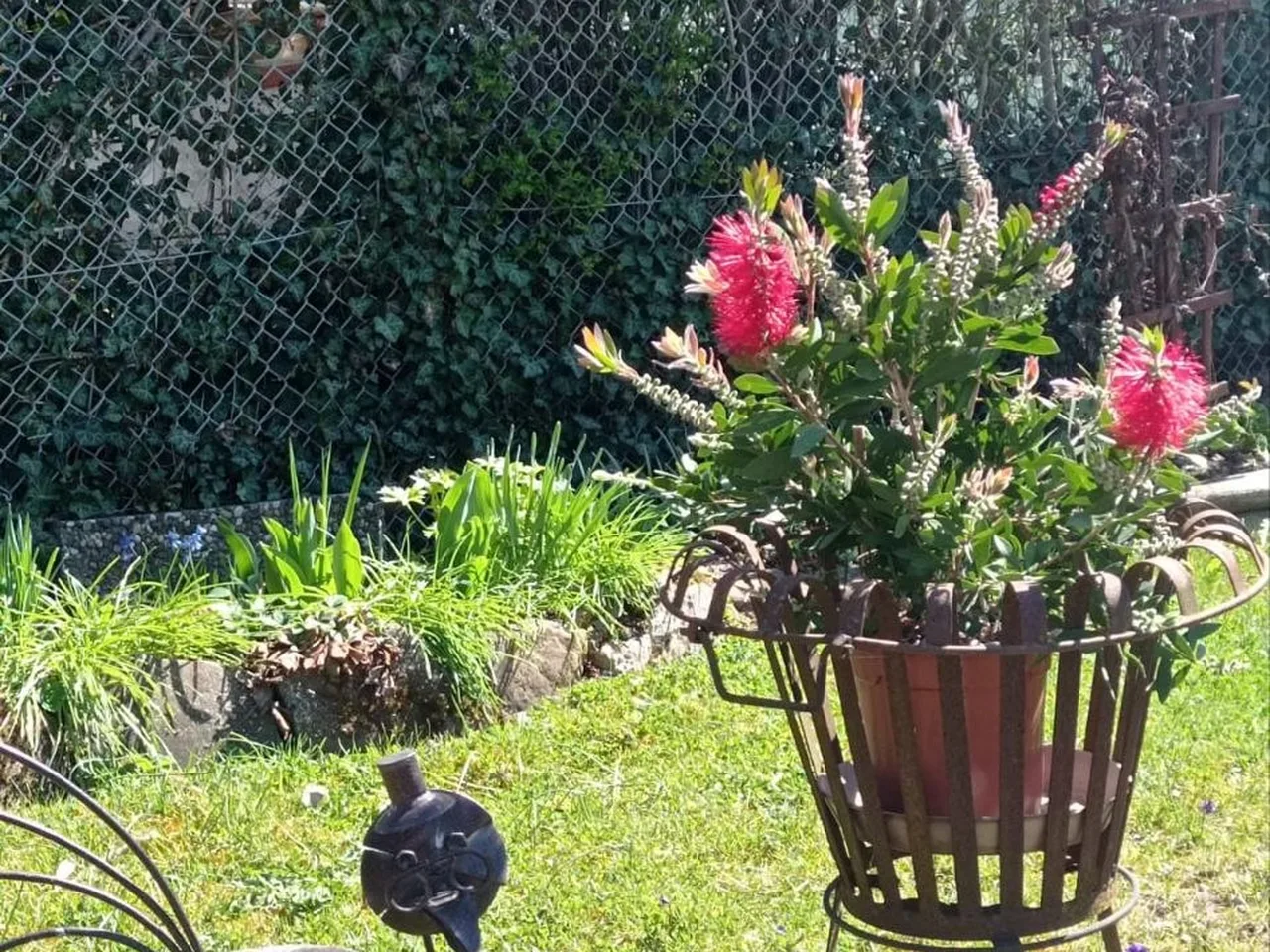 Zwei rostfarbene Metallfiguren, eine vogelartige Figur auf dünnen Beinen und eine Topfpflanze mit leuchtend pinken Kerzenblüten, auf Rasen vor einem mit Efeu bewachsenen Zaun
